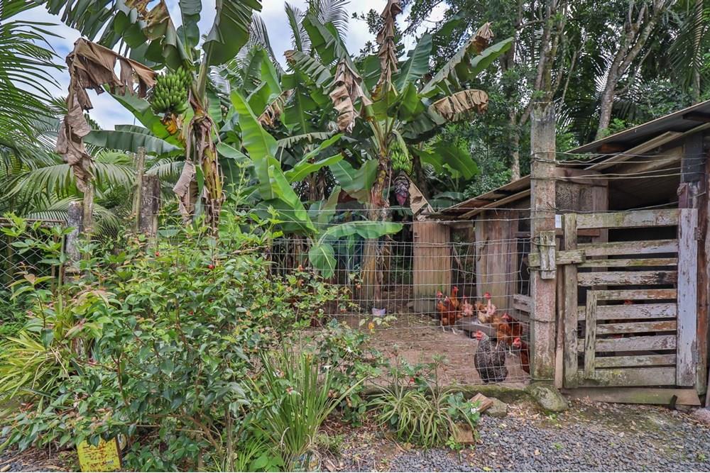 Casa - Venda - Timbó , Santa Catarina - 13.jpg - 590211051-41