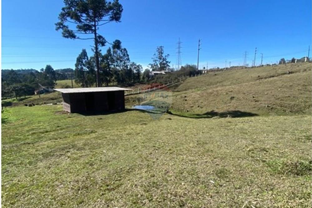 Terreno - Venda - Lages , Santa Catarina - ea4d2eaa-79bb-46c0-a233-0ec84cbd1d31.jpg - 590071041-43