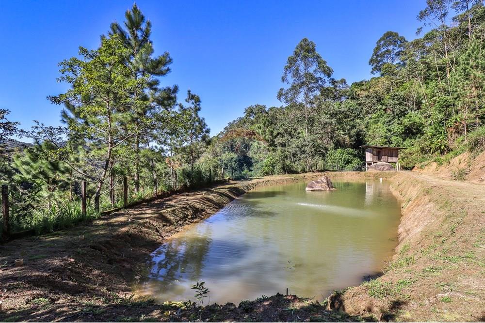 Chácara / Sítio / Fazenda - Venda - Timbó , Santa Catarina - FOTO PRO 04 - .JPG - 590211051-38