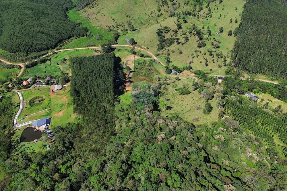 Terreno - Venda - Rio dos Cedros , Santa Catarina - 1.jpg - 590211067-6