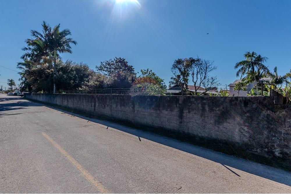 Terreno - Venda - Tijucas , Santa Catarina - IMG_9901.jpg - 590531034-1