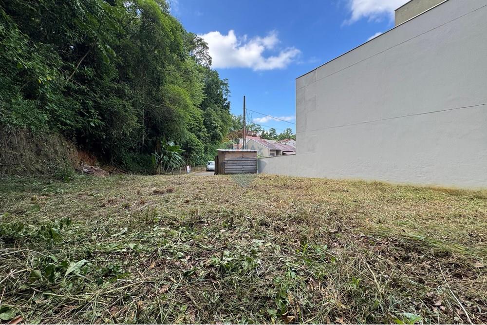 Terreno - Venda - Blumenau , Santa Catarina - WhatsApp Image 2025-03-17 at 11.08.18.jpeg - 590301006-91