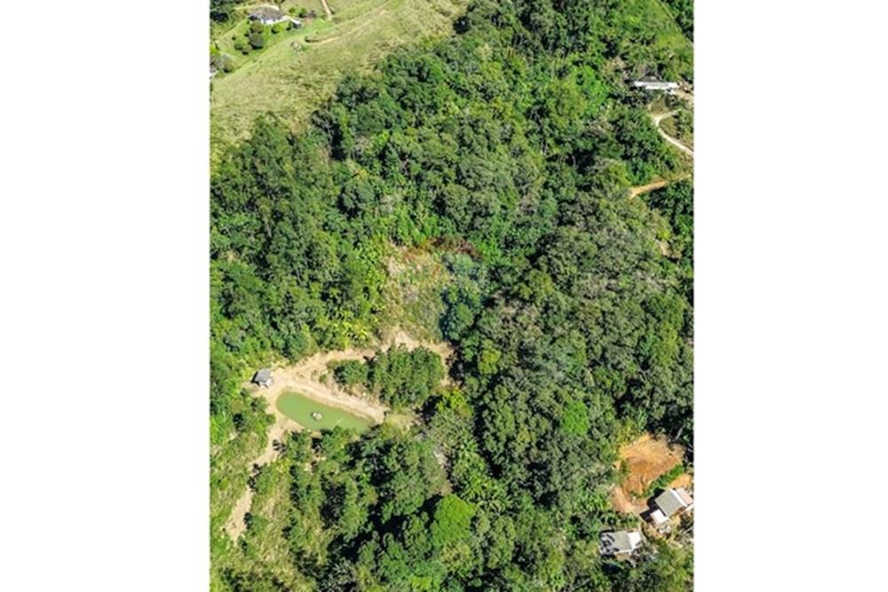 Chácara / Sítio / Fazenda - Venda - Timbó , Santa Catarina - FOTO PRO 11 - .JPG - 590211051-38