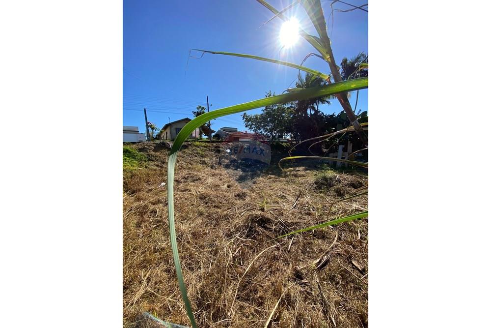 Terreno - Venda - Jaraguá do Sul , Santa Catarina - WhatsApp Image 2025-04-29 at 14.57.22 (1).jpeg - 590451031-12