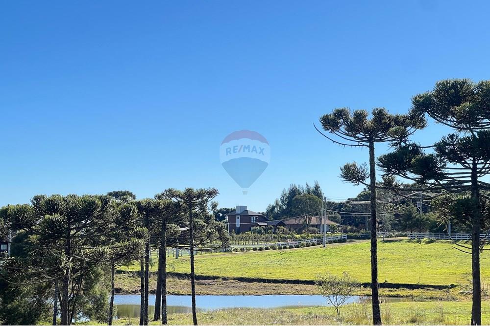 Terreno - Venda - Painel , Santa Catarina - WhatsApp Image 2025-06-11 at 15.16.08.jpeg - 590071003-195