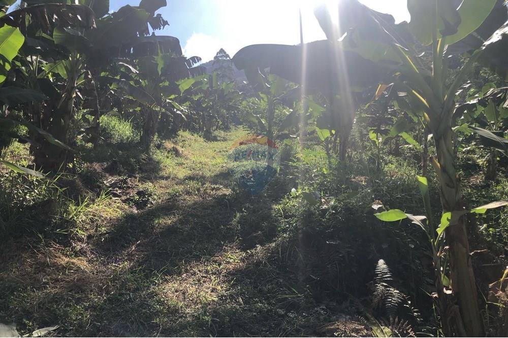 Terreno - Venda - Timbó , Santa Catarina - FOTO 10 - .JPG - 590211051-24