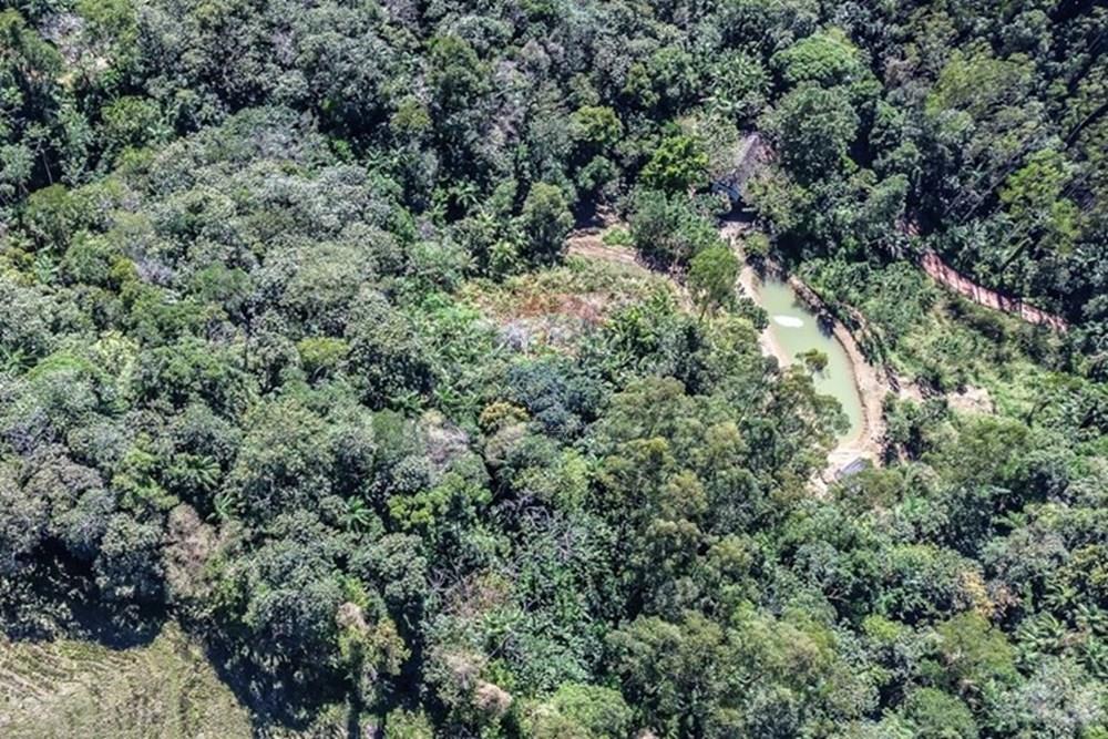 Chácara / Sítio / Fazenda - Venda - Timbó , Santa Catarina - FOTO PRO 12 - .JPG - 590211051-38