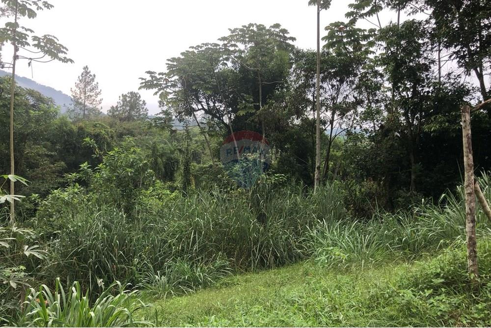 Terreno - Venda - Timbó , Santa Catarina - FOTO 02 - .JPG - 590211051-22