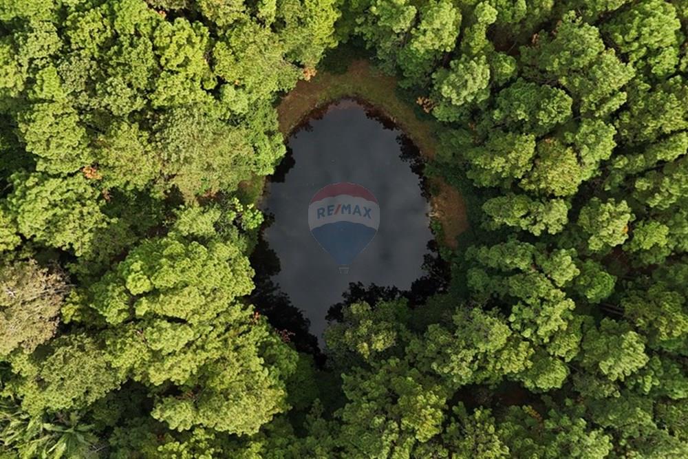 Terreno - Venda - Florianópolis , Santa Catarina - DJI_20250507093302_0026_D.JPG - 590101001-59