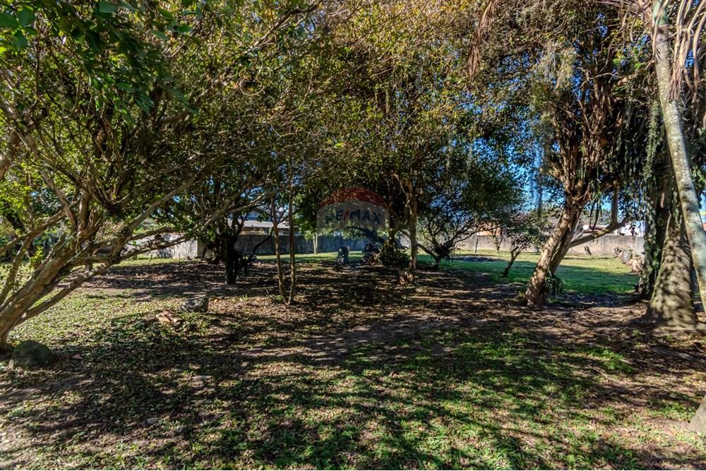 Terreno - Venda - Tijucas , Santa Catarina - IMG_9887.jpg - 590531034-1