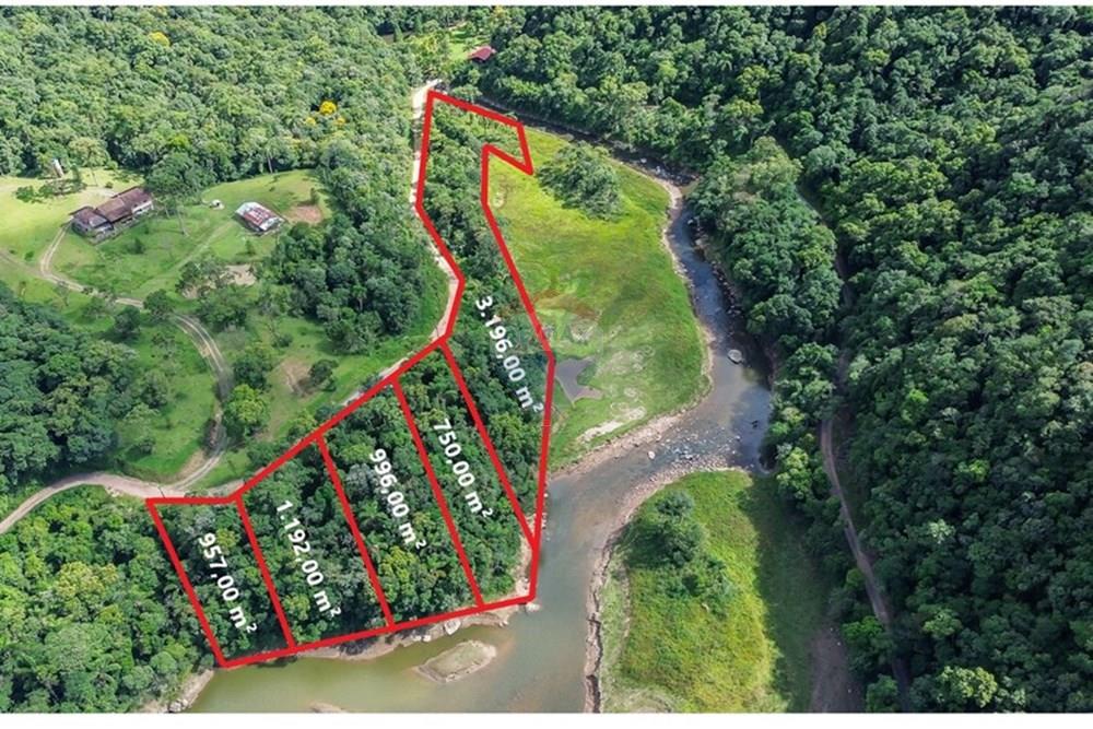 Terreno - Venda - Rio dos Cedros , Santa Catarina - FOTO 10 -JPG.jpg - 590211051-10