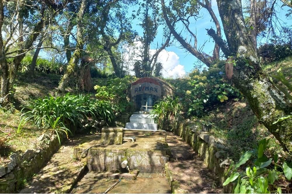 Chácara / Sítio / Fazenda - Venda - Lages , Santa Catarina - ba2641bd-852c-42f8-bab9-0a2ead07d7b9.jpg - 590071041-18