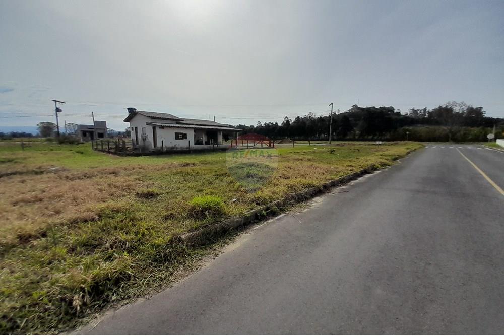 Terreno - Venda - Santa Rosa do Sul , Santa Catarina - 20250726_133446.jpg - 590491005-21