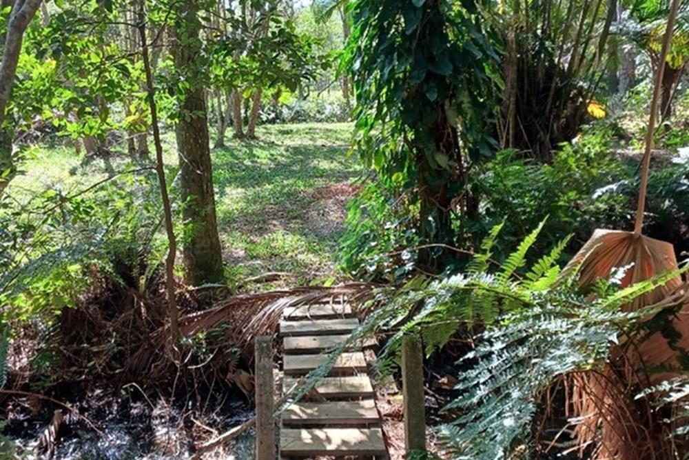 Terreno - Venda - Florianópolis , Santa Catarina - PHOTO-2025-05-15-17-03-23.jpg - 590101001-59