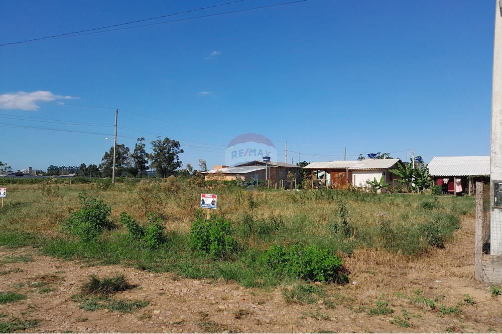 Terreno - Venda - Santa Rosa do Sul , Santa Catarina - 20250409_144140.jpg - 590491005-7