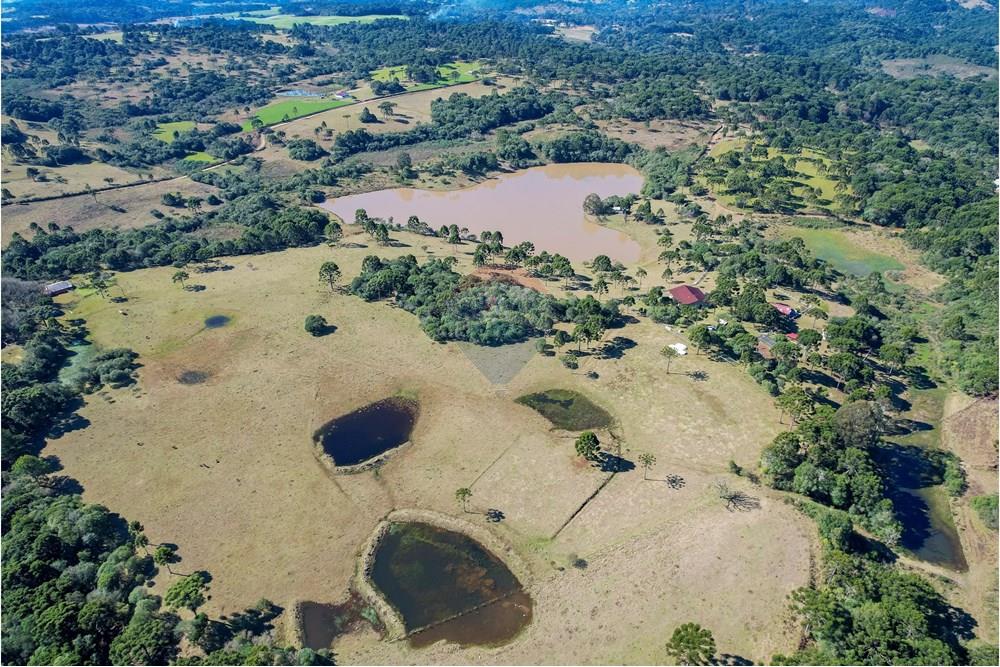 Chácara / Sítio / Fazenda - Venda - Capão Alto , Santa Catarina - DJI_0008.jpg - 590071002-440