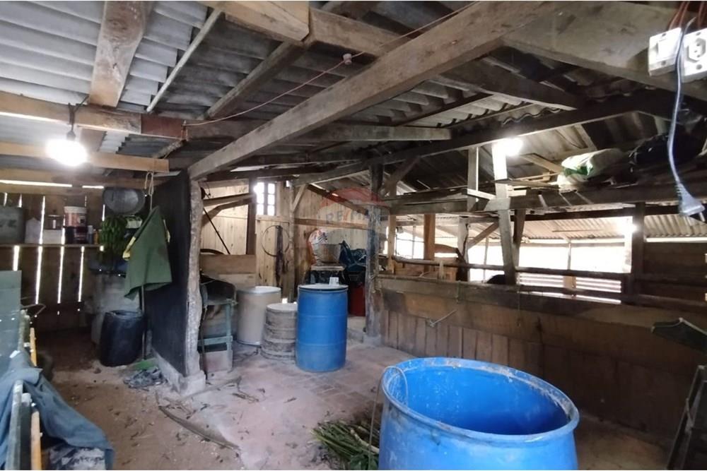 Chácara / Sítio / Fazenda - Venda - Benedito Novo , Santa Catarina - WhatsApp Image 2025-09-17 at 12.15.08.jpeg - 590301034-20