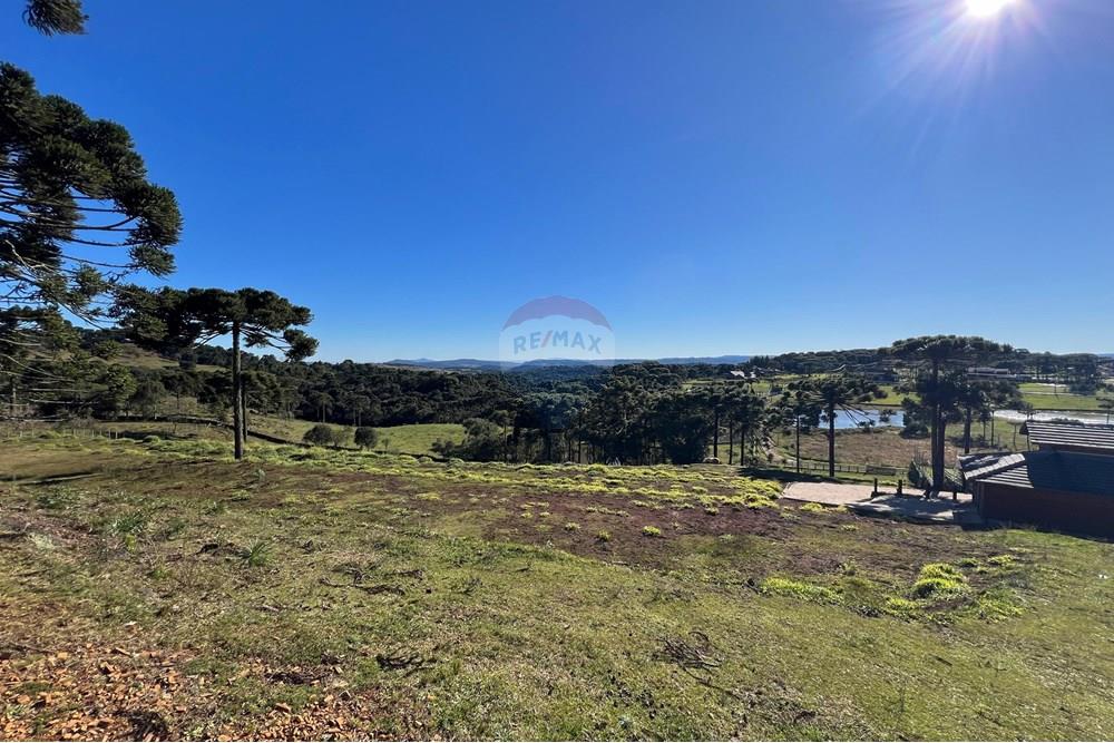 Terreno - Venda - Painel , Santa Catarina - WhatsApp Image 2025-06-11 at 15.16.15.jpeg - 590071003-194