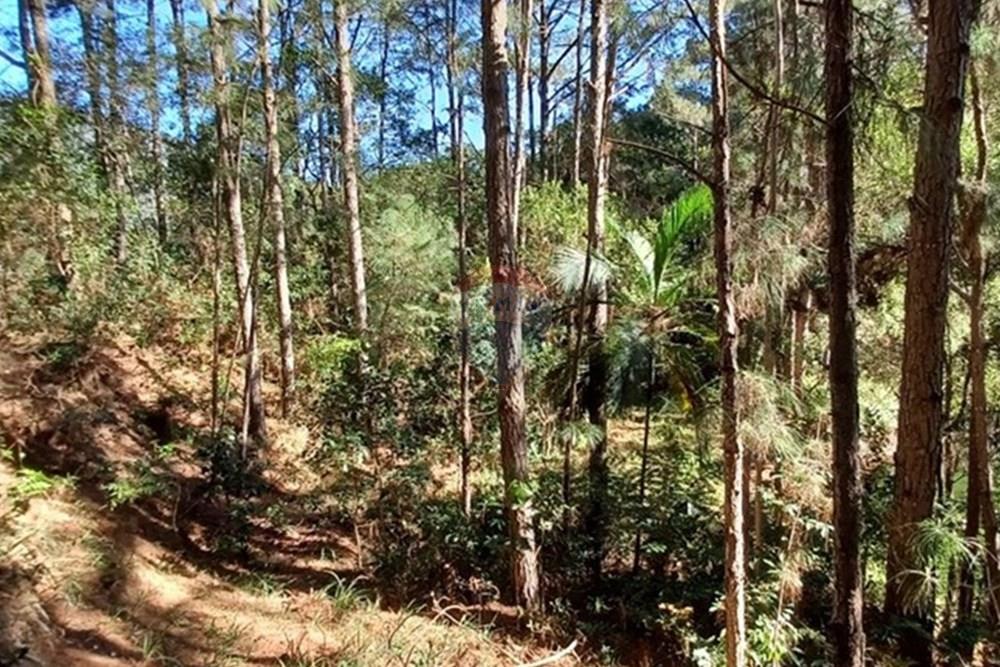 Terreno - Venda - Florianópolis , Santa Catarina - Imagem do WhatsApp de 2025-05-15 à(s) 17.03.30_a63b004a.jpg - 590101001-59