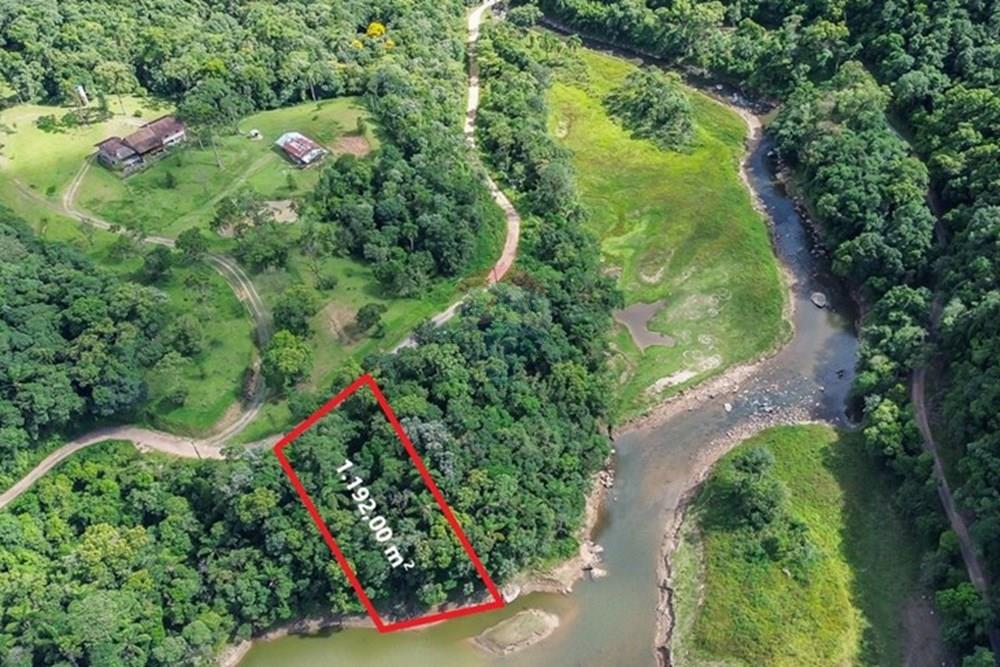 Terreno - Venda - Rio dos Cedros , Santa Catarina - FOTO PRO AREA TOTAL - .JPG - 590211051-11