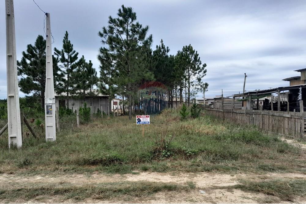 Terreno - Venda - Balneário Gaivota , Santa Catarina - 20250608_103405.jpg - 590491005-27