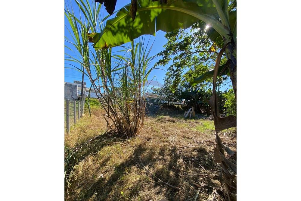 Terreno - Venda - Jaraguá do Sul , Santa Catarina - WhatsApp Image 2025-04-29 at 14.57.22.jpeg - 590451031-12