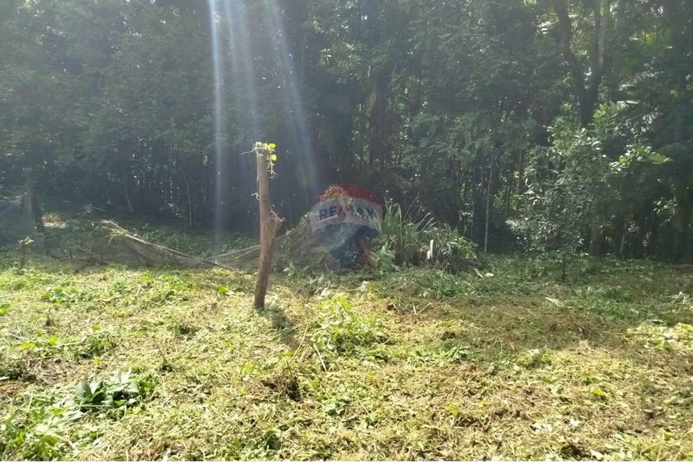 Chácara / Sítio / Fazenda - Venda - Indaial , Santa Catarina - WhatsApp Image 2025-04-04 at 15.05.18 (1).jpeg - 590301044-30