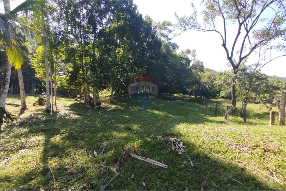 Chácara / Sítio / Fazenda - Venda - Indaial , Santa Catarina - WhatsApp Image 2025-04-23 at 14.50.06.jpeg - 590301044-30