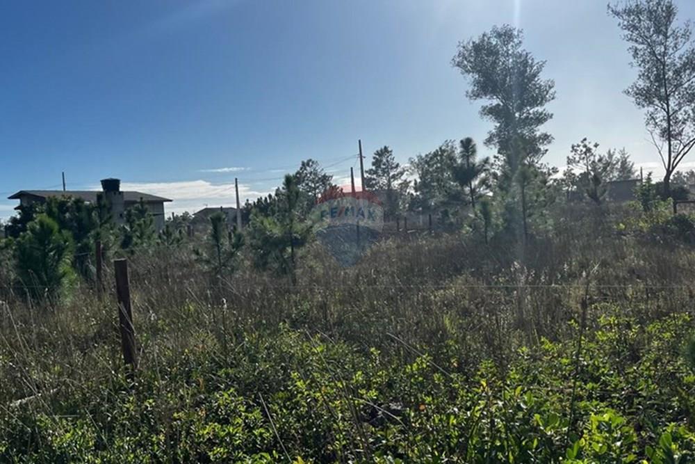 Terreno - Venda - Balneário Gaivota , Santa Catarina - WhatsApp Image 2025-06-13 at 14.51.42 (11).jpeg - 590491002-71