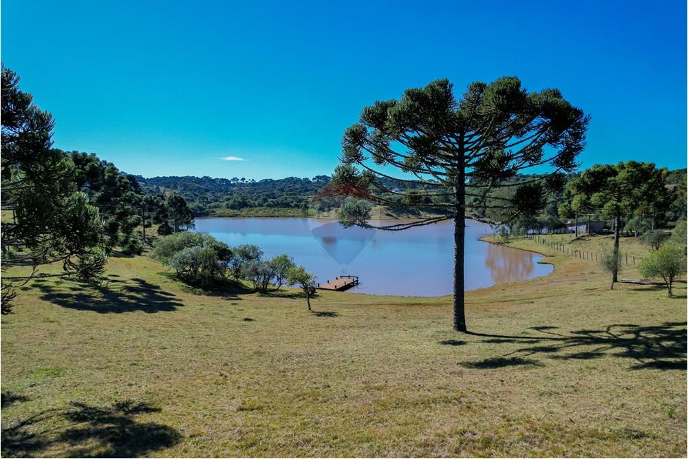 Chácara / Sítio / Fazenda - Venda - Capão Alto , Santa Catarina - DJI_0012.jpg - 590071002-440
