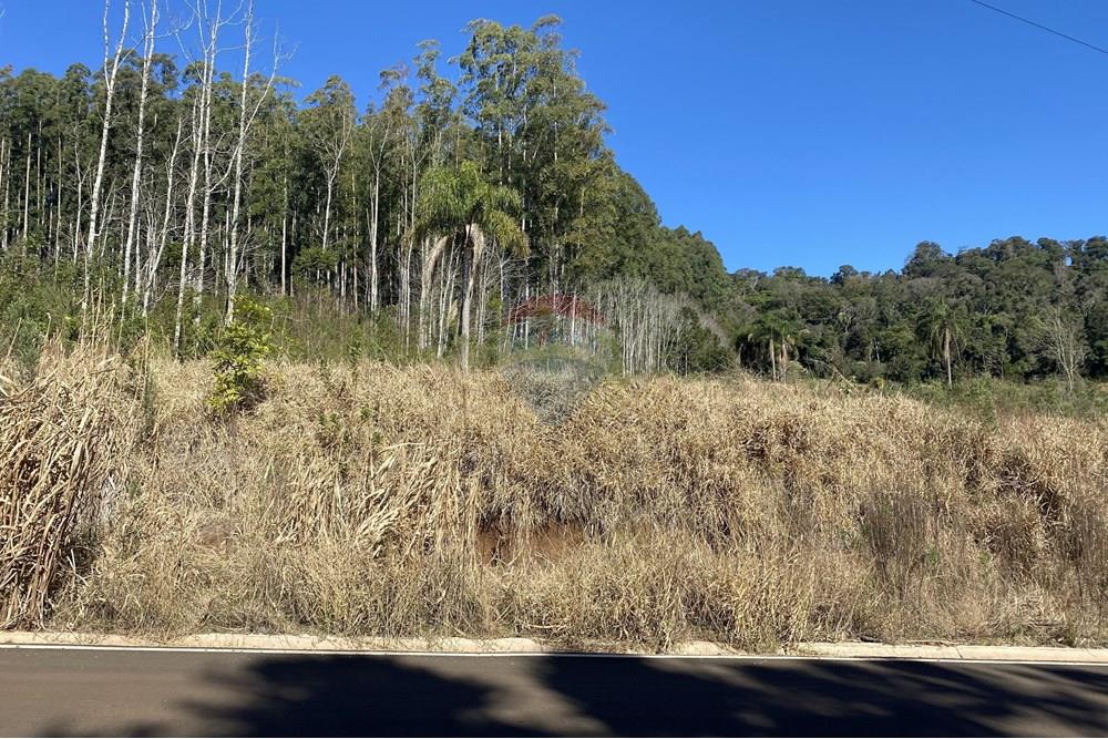 Chácara / Sítio / Fazenda - Venda - Xaxim , Santa Catarina - IMG_0082.JPG - 590421024-5