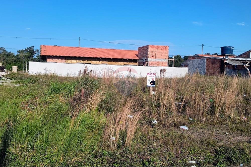 Terreno - Venda - Araquari , Santa Catarina - WhatsApp Image 2025-06-17 at 15.01.50.jpeg - 590501001-117