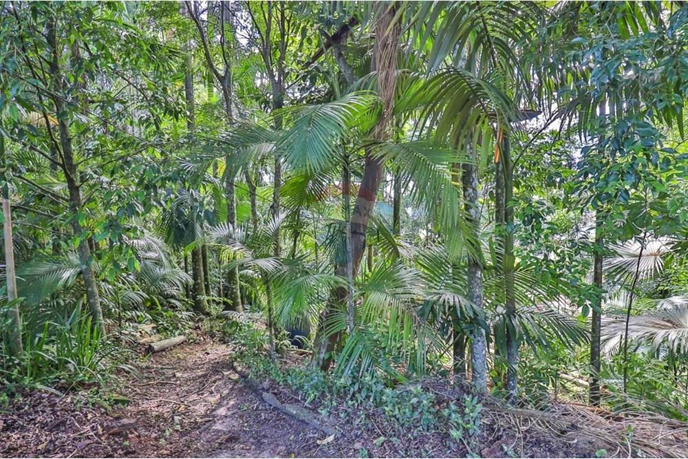 Casa - Venda - Indaial , Santa Catarina - WhatsApp Image 2024-12-17 at 10.40.58 (2).jpeg - 590211024-28