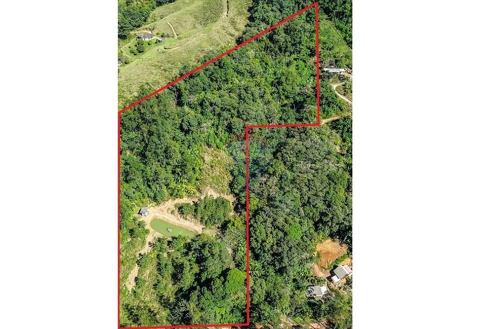 Chácara / Sítio / Fazenda - Venda - Timbó , Santa Catarina - FOTO PRO 14 - .JPG - 590211051-38