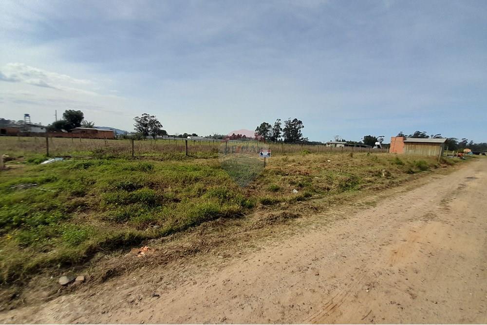 Terreno - Venda - Santa Rosa do Sul , Santa Catarina - 20250726_125858.jpg - 590491005-20