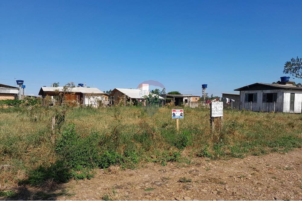 Terreno - Venda - Santa Rosa do Sul , Santa Catarina - 20250409_144212.jpg - 590491005-8