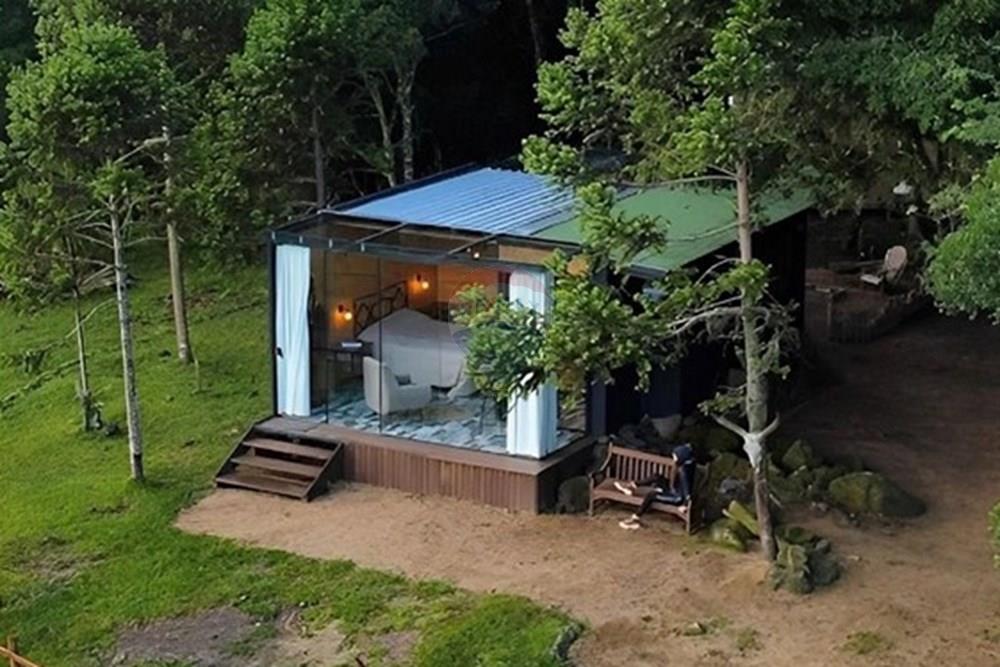 Chalé - Venda - Alfredo Wagner , Santa Catarina - cabana-da-mata.jpg - 590071002-445