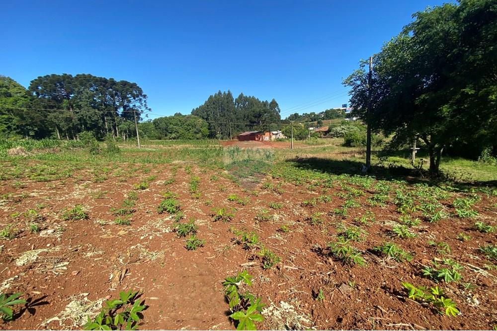 Terreno - Venda - Xaxim , Santa Catarina - 3.jpg - 590421016-5