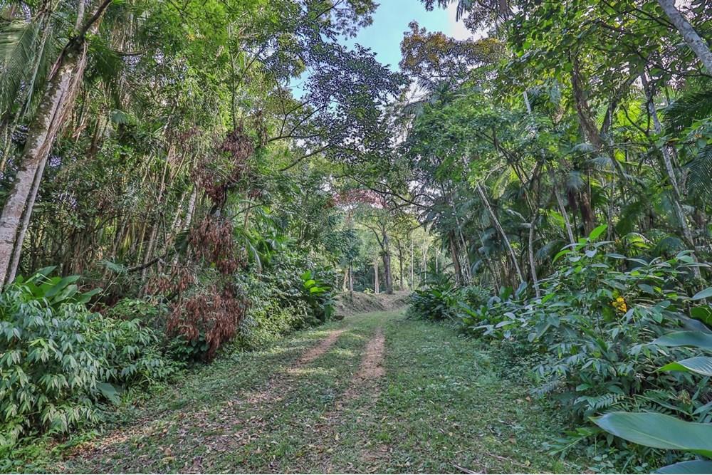 Terreno - Venda - Timbó , Santa Catarina - WhatsApp Image 2025-05-06 at 20.16.29 (4).jpeg - 590211046-8