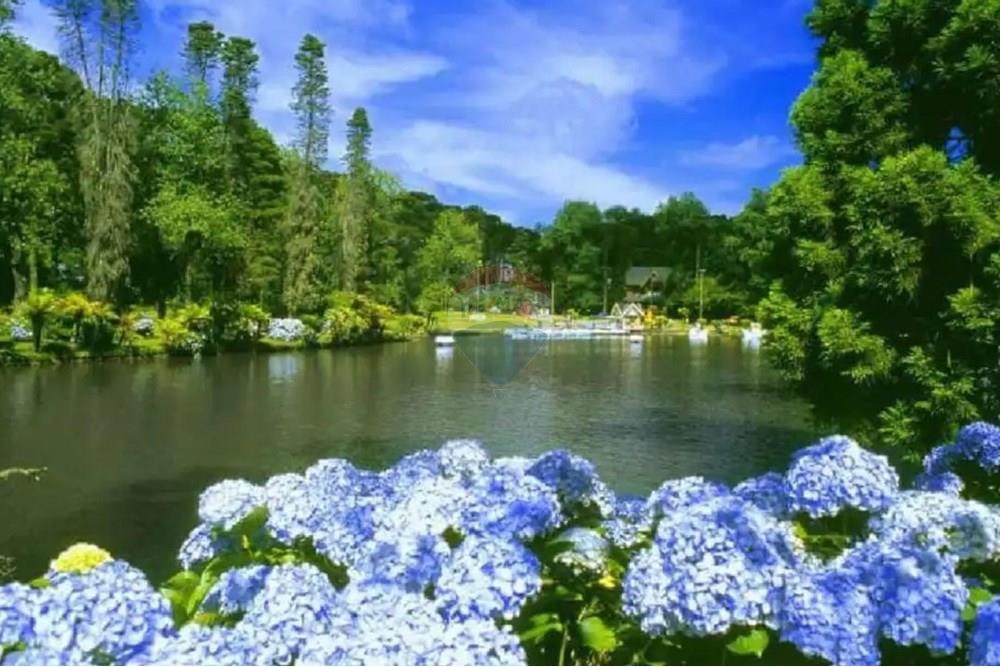 Apartamento - Venda - Gramado , Rio Grande do Sul - 5.jpg - 590271032-626