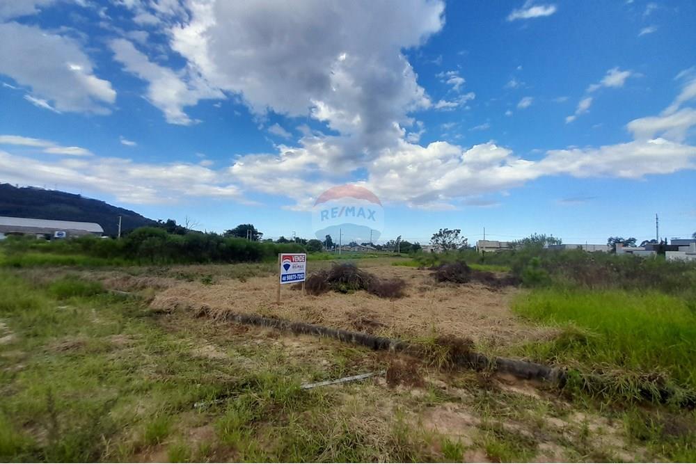 Terreno - Venda - Santa Rosa do Sul , Santa Catarina - 20250409_152043.jpg - 590491005-4