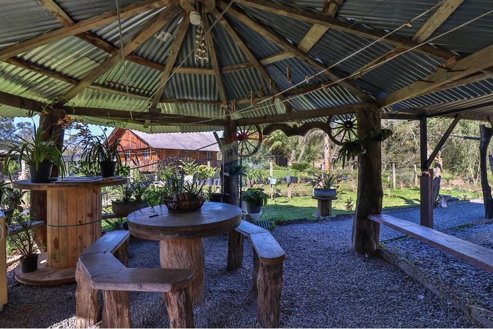 Chácara / Sítio / Fazenda - Venda - Doutor Pedrinho , Santa Catarina - WhatsApp Image 2025-09-09 at 21.15.45 (3).jpeg - 590211064-3