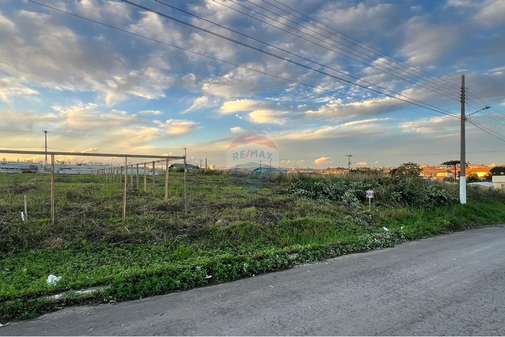 Terreno - Venda - Lages , Santa Catarina - WhatsApp Image 2025-06-09 at 13.52.56.jpeg - 590071009-103