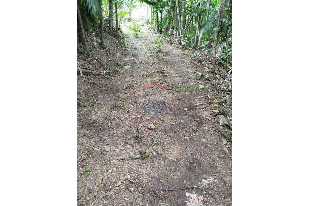 Chácara / Sítio / Fazenda - Venda - Indaial , Santa Catarina - WhatsApp Image 2025-04-04 at 15.05.18.jpeg - 590301044-30