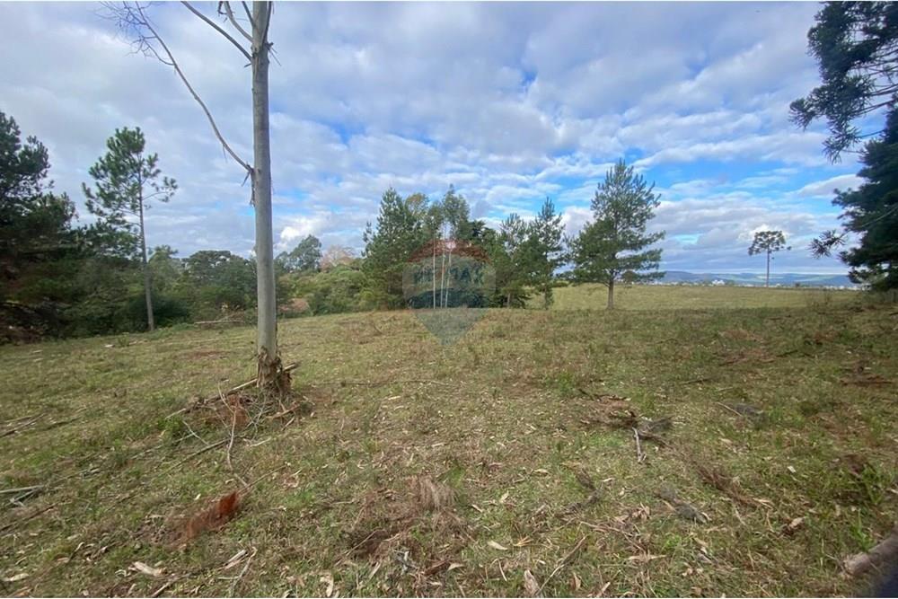 Terreno - Venda - Lages , Santa Catarina - b19700e1-188b-4875-ad9a-737268f1962b.jpg - 590071041-14