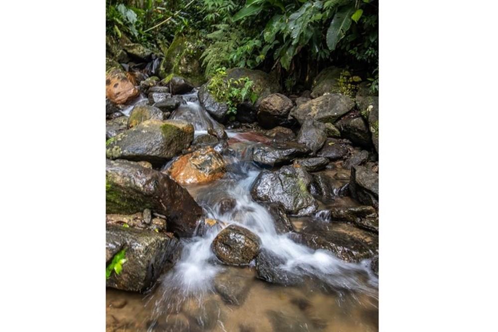 Terreno - Venda - Timbó , Santa Catarina - FOTO PRO 10 - .JPG - 590211051-24