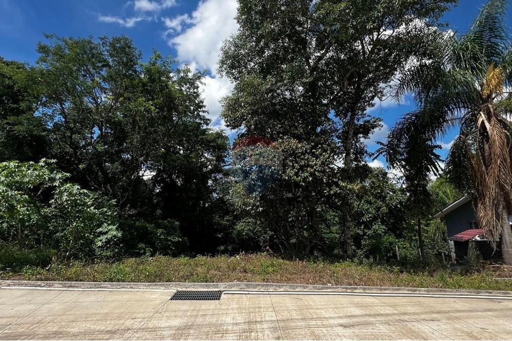 Terreno - Venda - Joaçaba , Santa Catarina - 6.jpg - 590271032-637