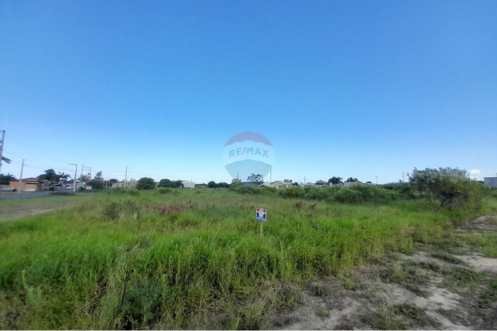 Terreno - Venda - Santa Rosa do Sul , Santa Catarina - 20250425_142135.jpg - 590491005-9