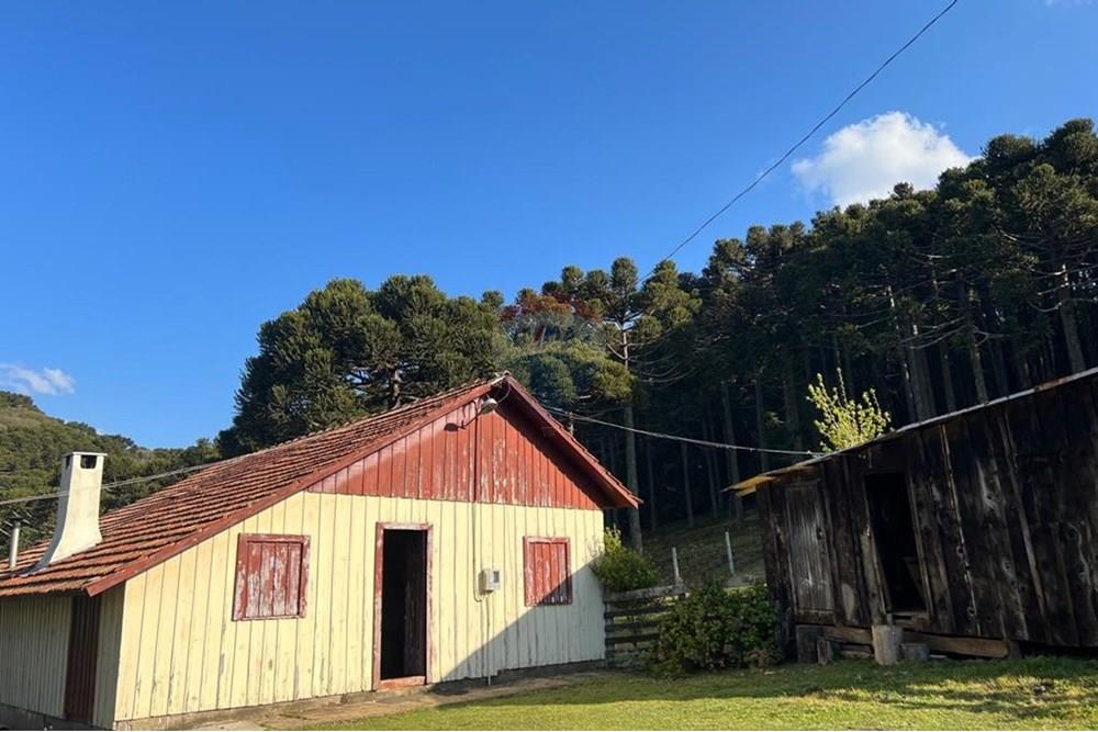 Chácara / Sítio / Fazenda - Venda - Painel , Santa Catarina - IMG-20250512-WA0062.jpg - 590071044-16