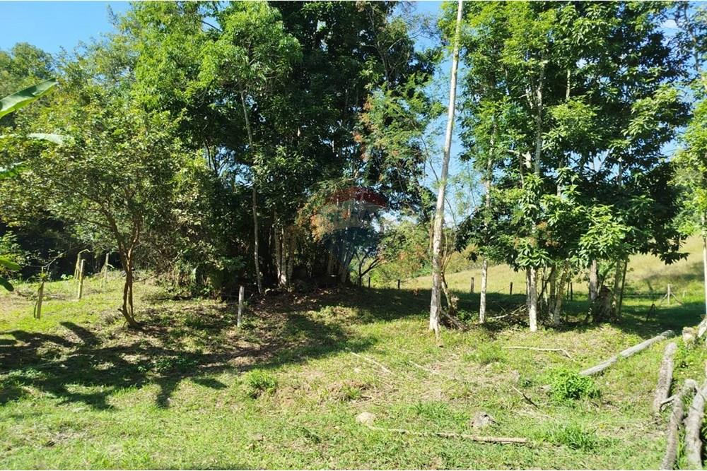 Chácara / Sítio / Fazenda - Venda - Indaial , Santa Catarina - WhatsApp Image 2025-04-23 at 14.49.36.jpeg - 590301044-30